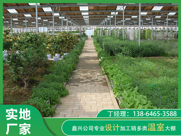 PC陽(yáng)光板溫室